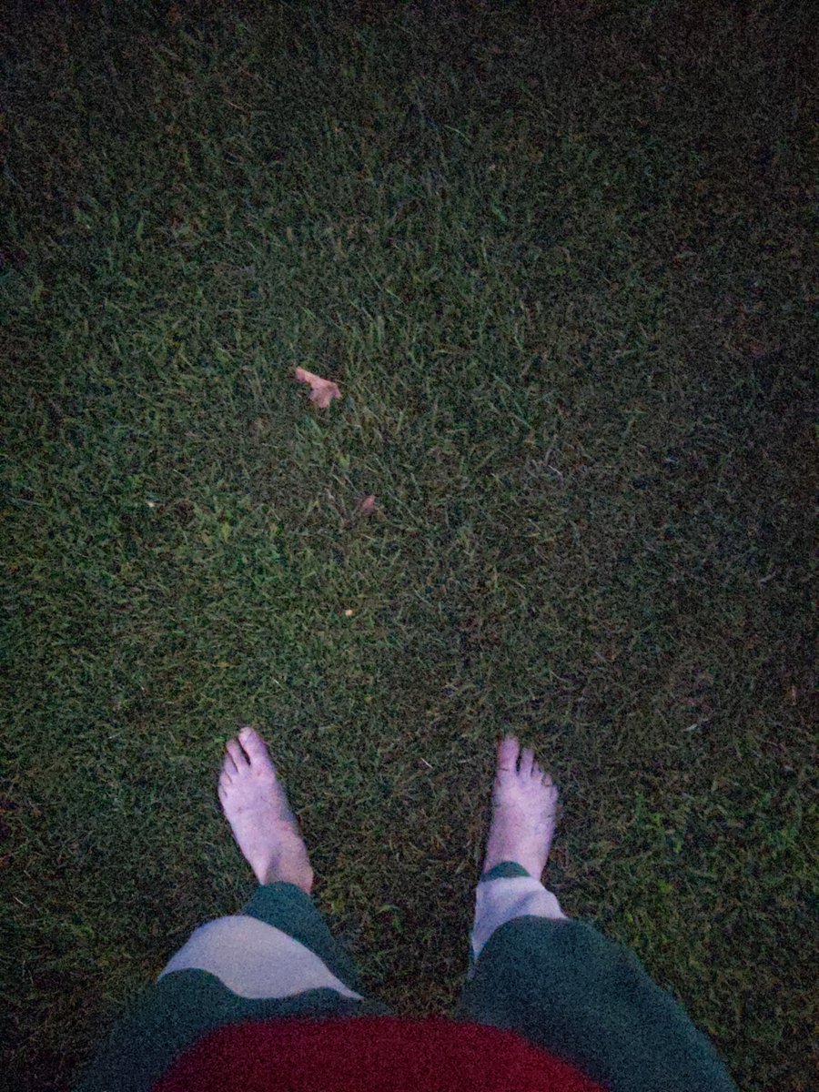 DinkleHorus's tweet photo. Out here touching grass, this shit is wild. Y'all should try this. https://t.co/dv0i5PBDsf