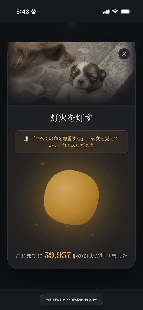 rein_mizusawa's tweet photo. 4万以上の灯火がシェアされた
世界が悲しんでいる
何故こんな優しい偉大な母である天使がこんな理不尽な目に遭わないといけない
団結力を高めて　バカな奴らを許すわけにはいかない
#水沢レイン　
#拡散協力
#拡散希望　
#旺旺
#旺旺ちゃん https://t.co/LTFFbgaWa9