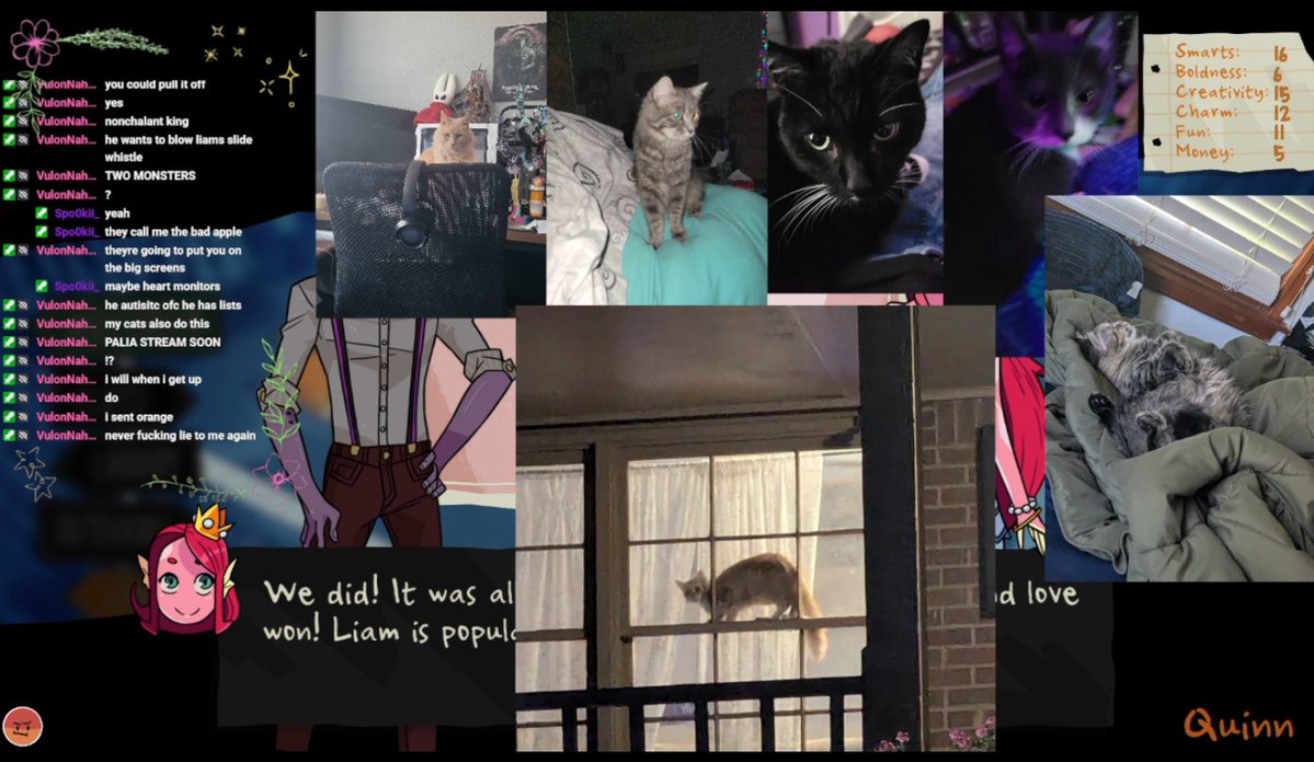 Sylveistar's tweet photo. Reason number one you should watch when I stream: we just had a cat segment https://t.co/0RaRlJu5BL