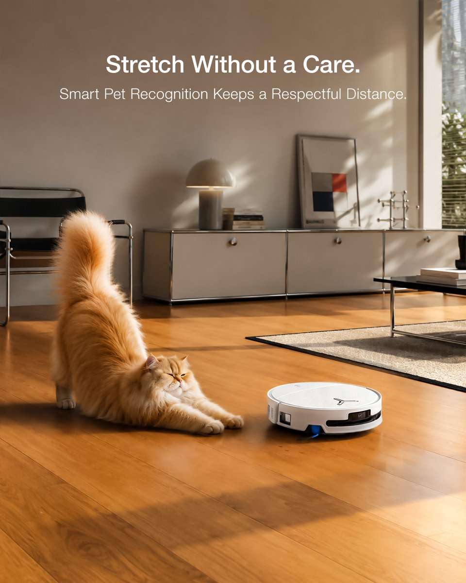 ecovacsrobotics's tweet photo. Some moments deserve not to be interrupted.
DEEBOT recognizes your pet and gently keeps its distance, so they can stretch, nap, or simply be themselves.
Happy International Cat Day. https://t.co/Gd1evQGSMT