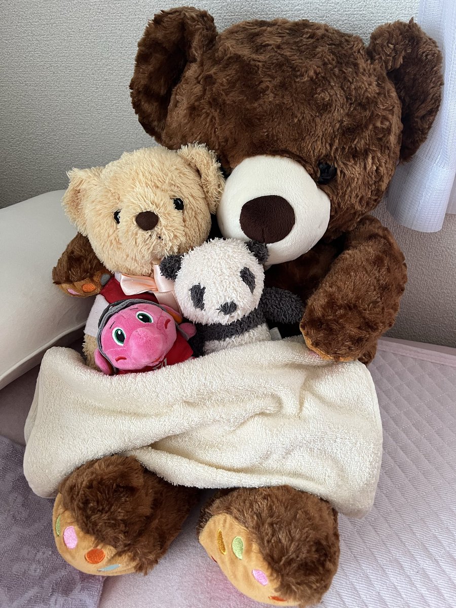 0916Umi's tweet photo. 今日はちょぴり寒いからみんなでおねんね😊💤

#ジャンボくん https://t.co/f1vBB7mxUT