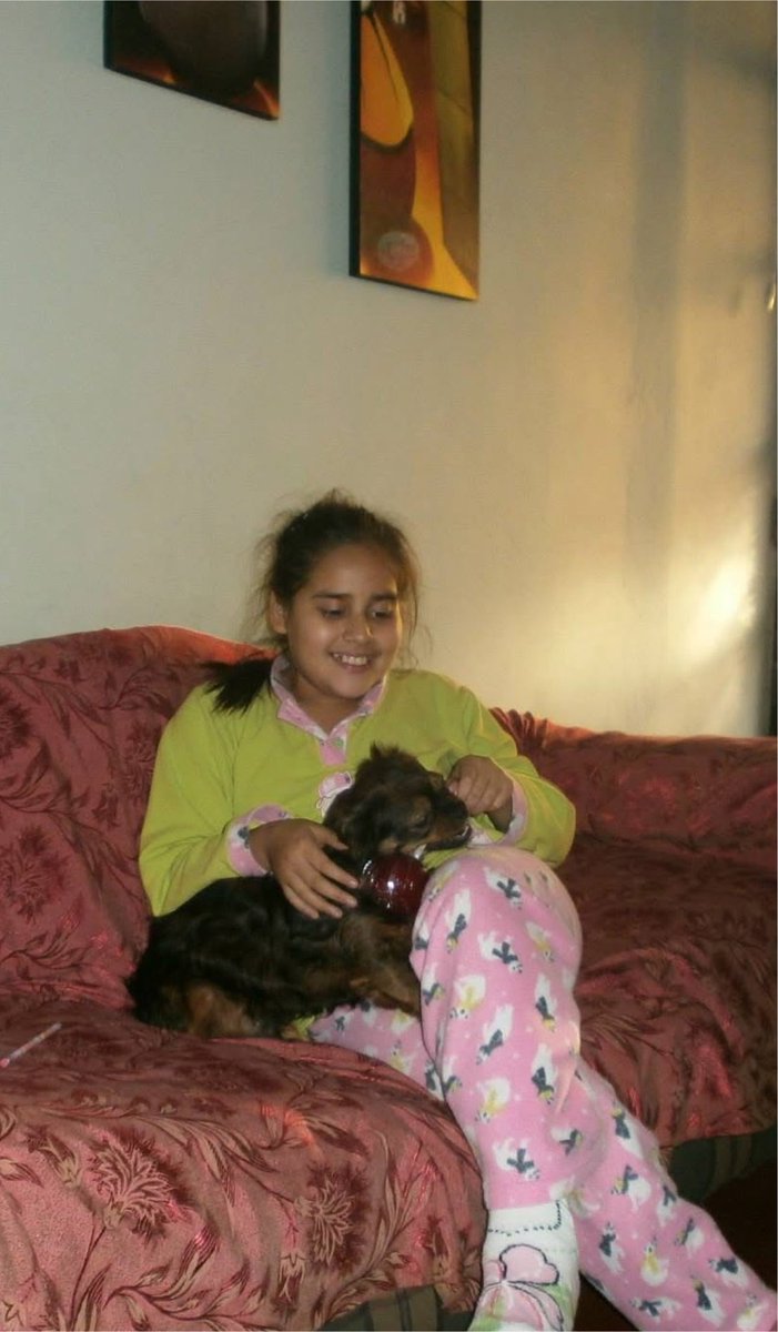 solarsido0's tweet photo. Te extraño Kaiser, mucho, ojalá en algún momento puedas presentarte y poder verte aunque sea en sueños. Te estaré esperando, mi pequeño gran amigo. ❤️ https://t.co/KsvO75Wf38