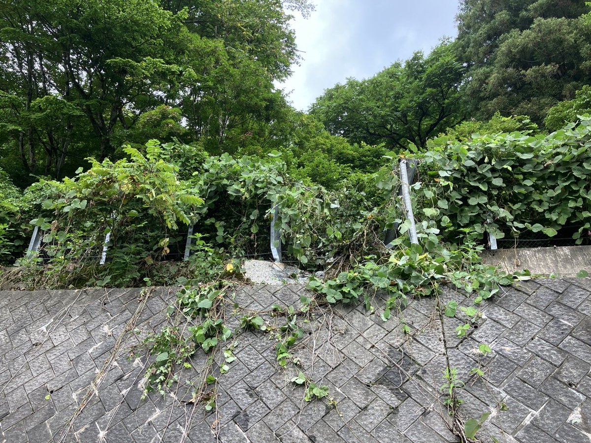 nagano_hokuken's tweet photo. 国道403号（飯山市照岡）で落石による通行止めが発生しております。
新潟方面へ行かれる方は「みゆきのライン」へ迂回してください。

↓落石箇所
https://t.co/Y1NsHybfqP

#通行止め　#道路情報　#国道403号 https://t.co/BgU2GlQ6oM