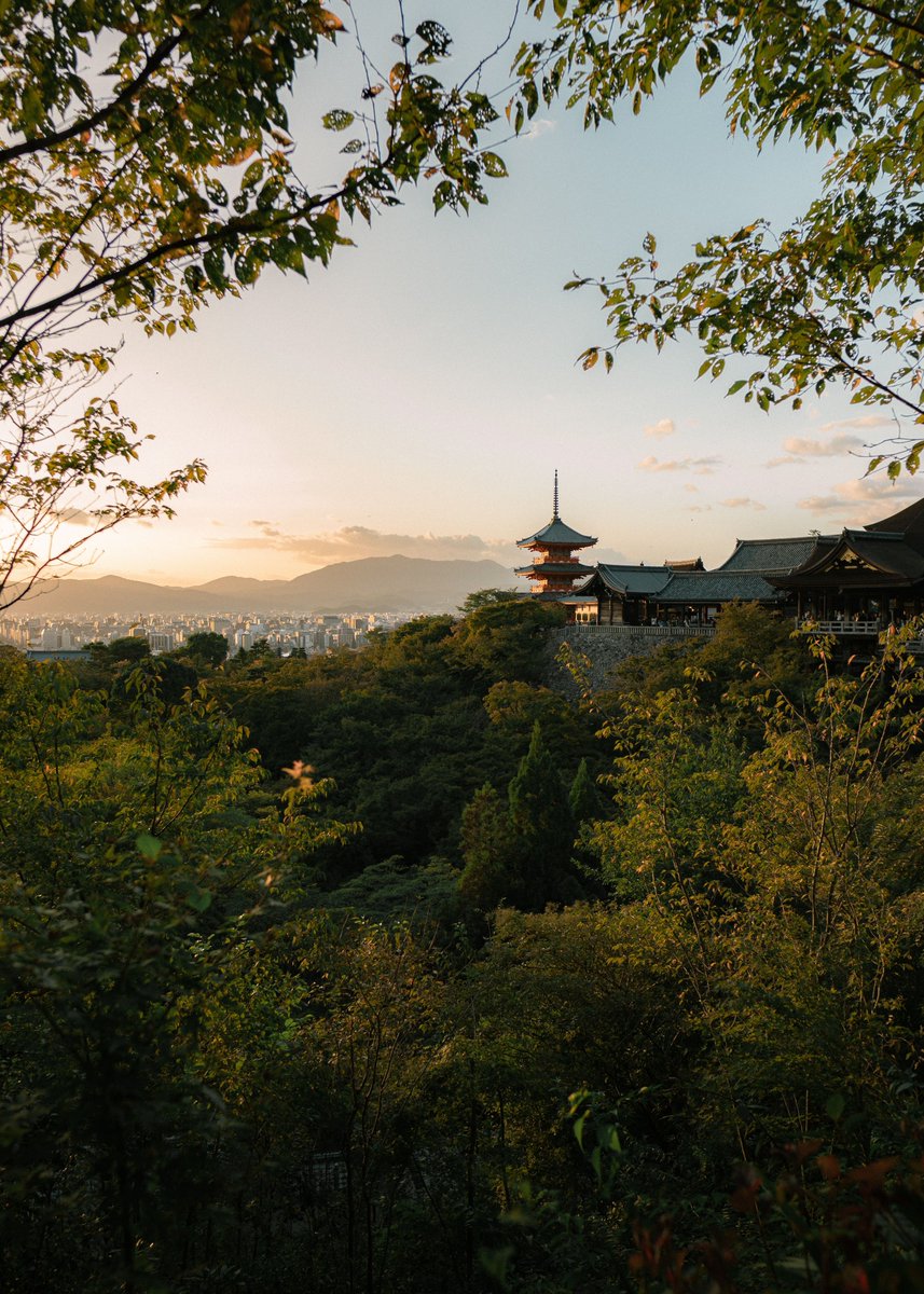 Putralfrq's tweet photo. The Early Morning Temple Hack ⛩️Kiyomizu-dera opens at 6:00 AM. If you arrive by 5:45 AM, you will have one of the world's most beautiful wooden terraces completely to yourself before the tour buses arrive. https://t.co/JOuMiYx1J3