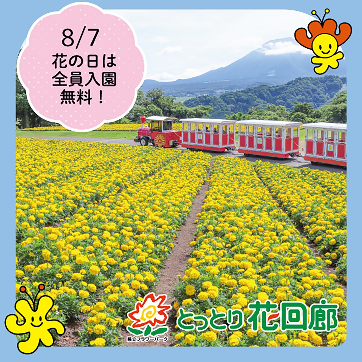 tottorihana's tweet photo. ✽*✽*✽
🎡花回廊　イベント情報 8/3(月）🎡

8月7日は「は(8)な(7)」の語呂合わせにちなんだ「花の日」です💐
日頃の感謝を込めて【8月7日(金)限定】全員入園を無料とさせていただきます‼

ご家族やご友人、大切な人と素敵な夏の思い出を作りに、ぜひ！お越しくださいね🥰

#とっとり花回廊 https://t.co/SFr3QmaUZ7