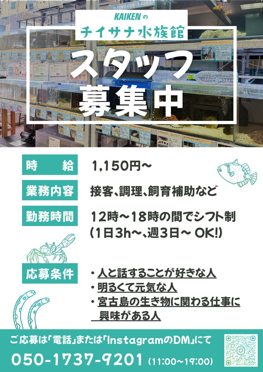 KAIKEN_HB's tweet photo. スタッフ募集！！

詳しくはInstagramへ🐟

https://t.co/vySlvwKEYY https://t.co/U3PbH4DjhC