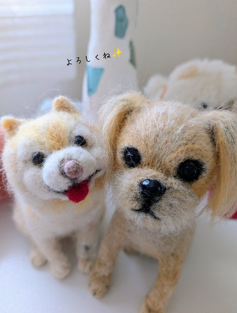 popomi26's tweet photo. ご縁があって
ご注文をいただいた
グリフォンブリュッセルの
グリコさん
自毛を使わせていただいての
フエルトグリコさんが
出来ました✨

ぽーとご挨拶(●´ω｀●)

虹の国でもよろしくね🌈

#ご注文品
#グリフォンブリュッセル
#フエルト
#虹の橋組
#po_suke https://t.co/kBABdnDRE8