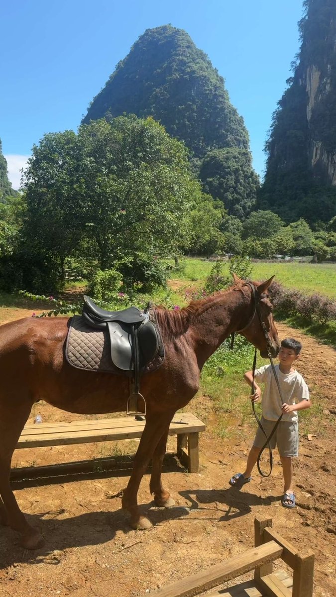 absy0075's tweet photo. هل جرّبت ركوب الخيل في يانغشو الصين🏇🏼 🇸🇦🇨🇳?

Have you tried horse riding in Yangshu, China?

你试过在中国阳朔骑马吗？

#السعودية #China #中国 https://t.co/tqJESj5Vz4