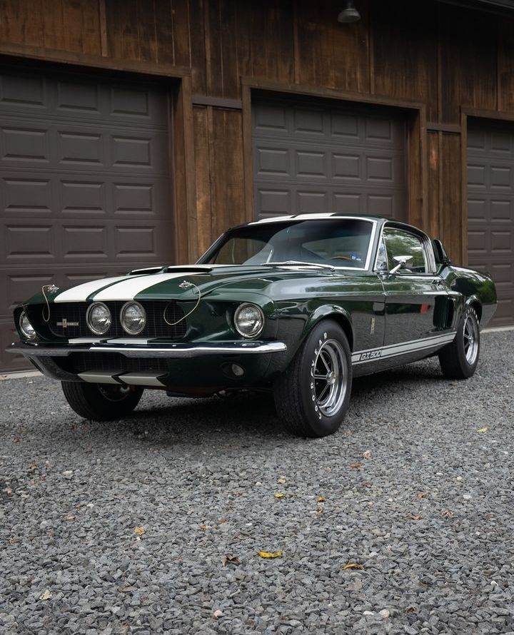 Auto_Porn's tweet photo. '67 Shelby GT500 Mustang https://t.co/XTMOu70Hko