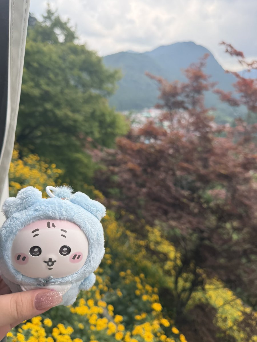 setsukodrop0121's tweet photo. 🌳🌳🌳🌳🌳 https://t.co/O25nSyB7m2