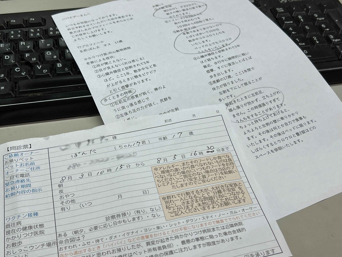HABANADAY's tweet photo. 4年前 2年前に2度ホテルにきたことのあるぽん太くん
17歳になってだいぶ細っていました
目も見えず耳も 歩行もおぼつかず...留意点をかいてくだっさったメールを前もって送っていただいています
2泊3日のお世話に
細心の気配りをほどこして見守ります https://t.co/SvhuFywwzx