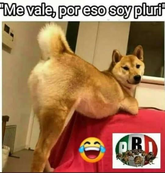 cogitoergosum68's tweet photo. @cocol64_meza @hugooliver80076 Del #harem de #packalito... https://t.co/oPaZQFGbG6