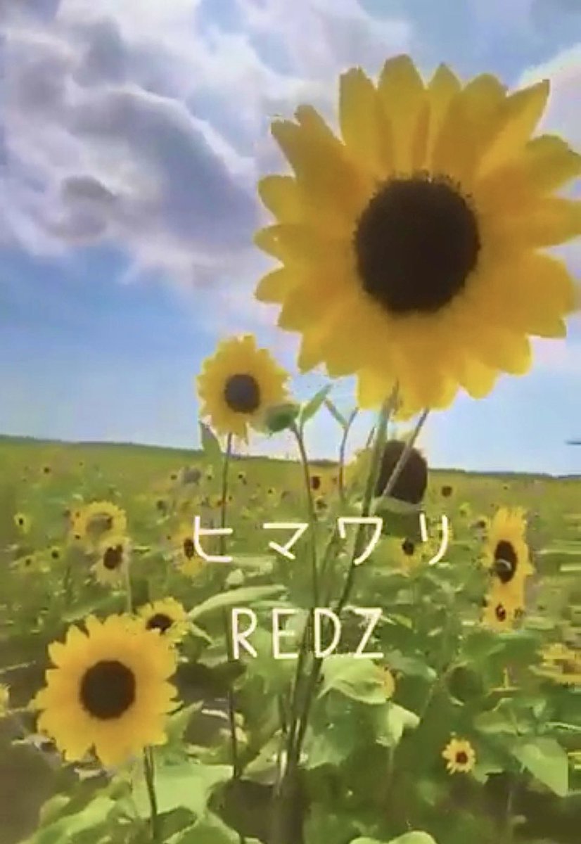 pandamarket's tweet photo. ヒマワリ by Redz デジタル配信スタート!
https://t.co/dF9p1Qunq9
8.3 20:00【MV】公開! ONODUBチャンネル https://t.co/dyqVtNkktm
#ヒマワリ
#REDZ
#ONODUB
#studiondecibel
#HIMAWARI https://t.co/cHAYah8bNi