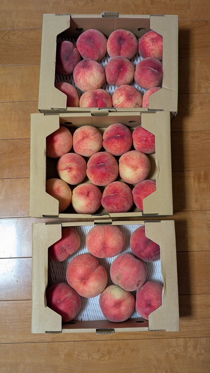 hsmhashas's tweet photo. 2箱買えばいいかなぁって思ってたのにおじさんに「こっちのがいっぱい入ってて安いよ」とすすめられて「じゃあそれも買いますぅ☺️」となってしまったﾁｮﾛ子
桃なんてなんぼ食べてもええねん https://t.co/qaj0nhJav7