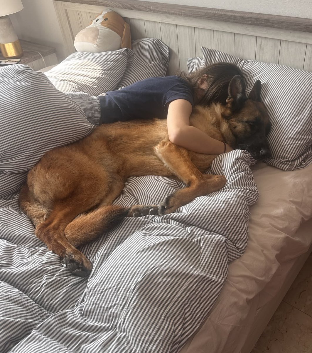 JessyPawHub's tweet photo. Our story is all about friendship, fun, and unforgettable adventures—and we're just getting started 🐕💕 Subscribe and be part of every moment
https://t.co/ZWLJzSGcjc https://t.co/WTt9mueQxT