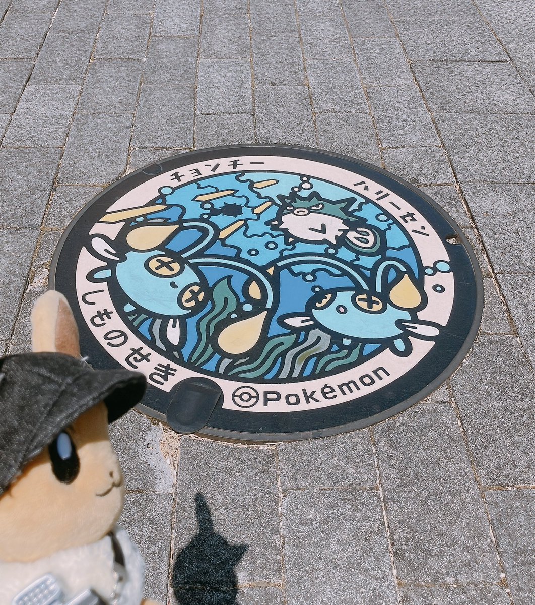 yahmanda1's tweet photo. これは昨日集めたポケふたです https://t.co/PL9YkexwqJ