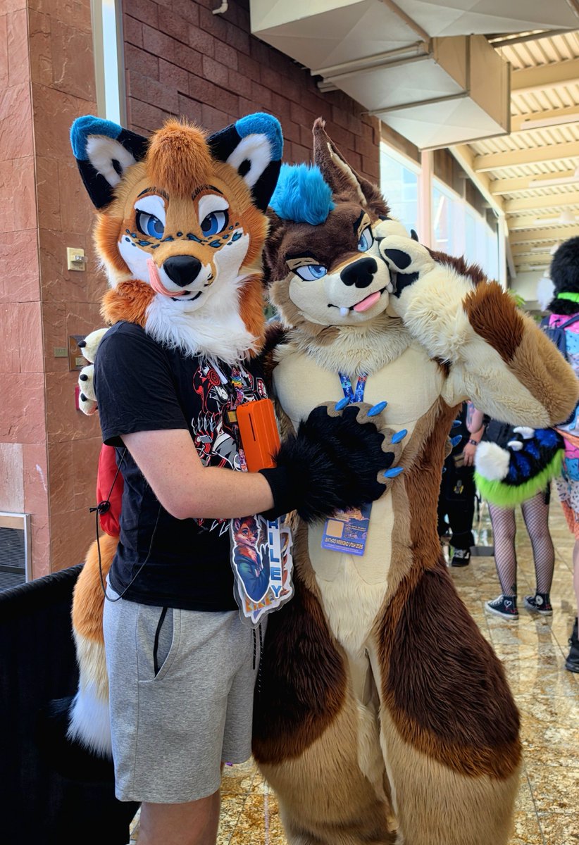 RileyTheFox_'s tweet photo. So strong... yet so soft. 🧡

💙 @AlpineAskee https://t.co/ZyEcKTZ1bv