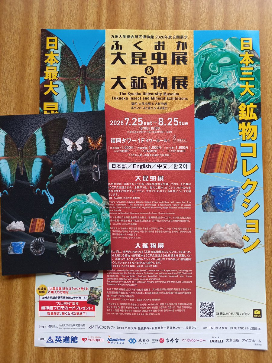 MaronM711's tweet photo. 大好物の大鉱物展に行ってきました💎

たくさんの鉱物があって、心が踊りました✨

https://t.co/50aQdPoH1C

#大鉱物展 https://t.co/Ih54eIu4h5