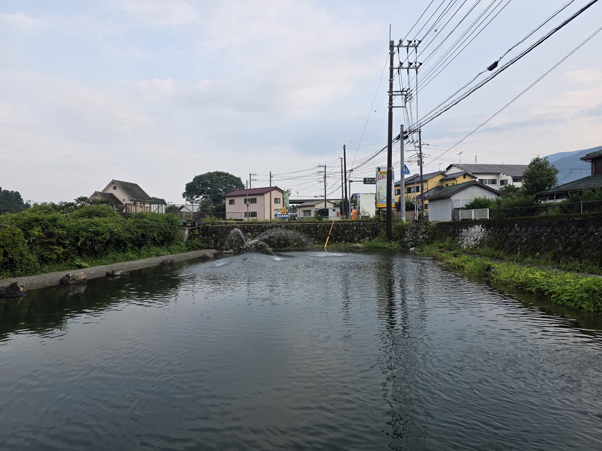 kantsuri55's tweet photo. もしもし、昨日はルアーフィッシングかりざかに行ってきました。暑いですが、鱒たちは元気いっぱい、引きが強いのでラインを太くした方が良いです。#もしもしフィッシング #ガラスプ #イエデン #Sulasula https://t.co/A88EWR5OGl