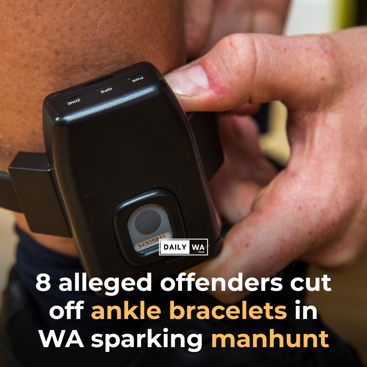 DailyWaonline's tweet photo. WA Police are searching for 2 alleged offenders after eight men cut off ankle bracelets within 48 hours, sparking a major manhunt across Western Australia.

#tmfs #dailywa #WAPolice #WesternAustralia #CrimeNews #PerthNews #WAnews #BreakingNews #PublicSafety #AustraliaNews https://t.co/p4nrLMXRTL