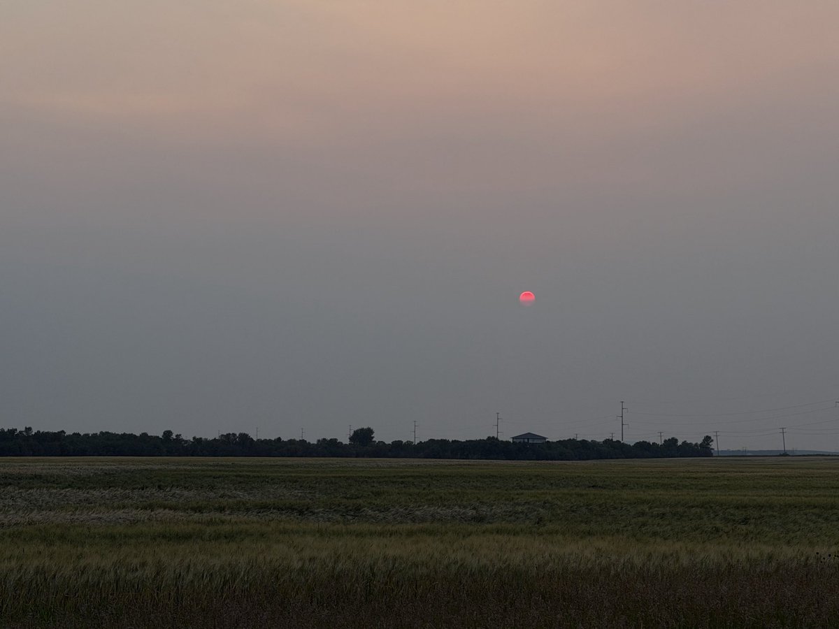 allistercanada's tweet photo. Another hazy sunset tonight in Regina. #SKwx https://t.co/T92OBoiXVg