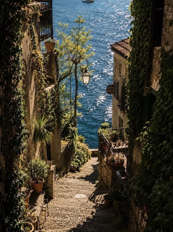 hawsett4's tweet photo. Lost in the Mediterranean breeze. https://t.co/GLTba2hh7T