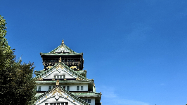 dtk_taikai's tweet photo. 大阪地域グループでは、大学図書館に関する身近なテーマの例会や各地の図書館等の見学など、アットホームに活動しています。これまでの活動はブログなどでご紹介しています。ぜひご覧ください。
大阪地域グループウェブサイト: https://t.co/WcMu3oX91D
ブログ: https://t.co/LR1yQxqjoL
#dtk57 https://t.co/WDYztoyNTU