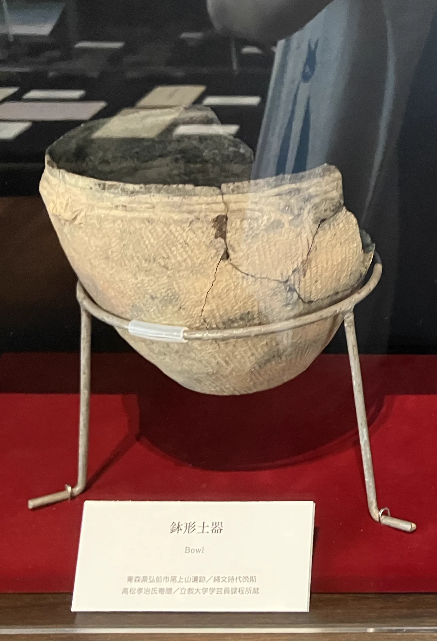 激レア！青森【縄文時代化石】　　　　　　　　鉱物コレクション 青森県立美術館 on X: 