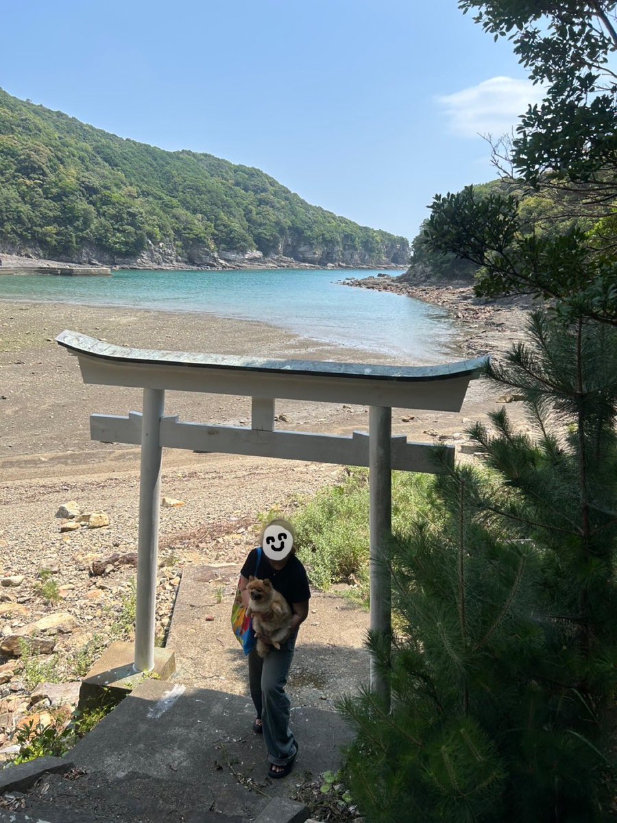 DcyoK8's tweet photo. お友達と夏を満喫しに🏖🐶☀️ https://t.co/45F1DjkPo7