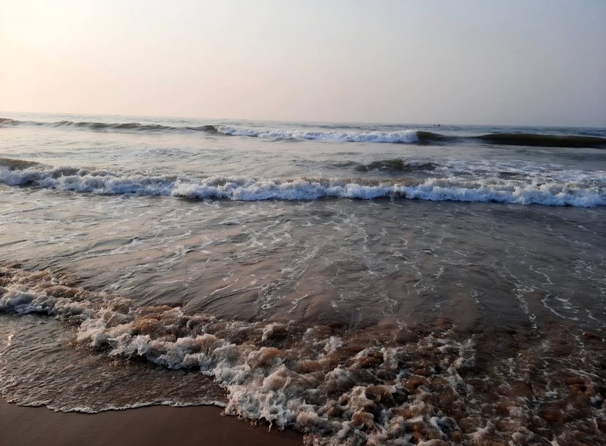 Ashutosh_0508's tweet photo. Salty, shine ✨️ https://t.co/JimUJInvqG