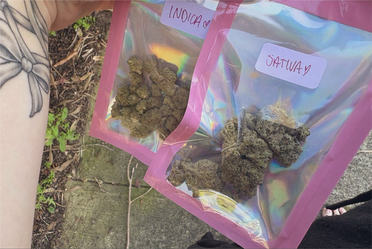 pixiiestikz's tweet photo. always get ur weed off a girlie trust https://t.co/11vGdwci6H
