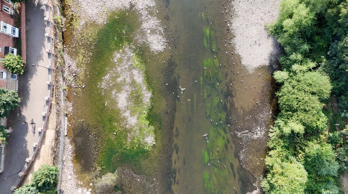 FriendsUpperWye's tweet photo. This is an image of the Wye in Hereford taken yesterday. Almost unrecognisable. A thin narrow channel with algae stained gravel beds either side. Some recovering ranunculus clinging on.

See our drone flights here:

https://t.co/gmKObRlCfm https://t.co/oL1RG3dcSP