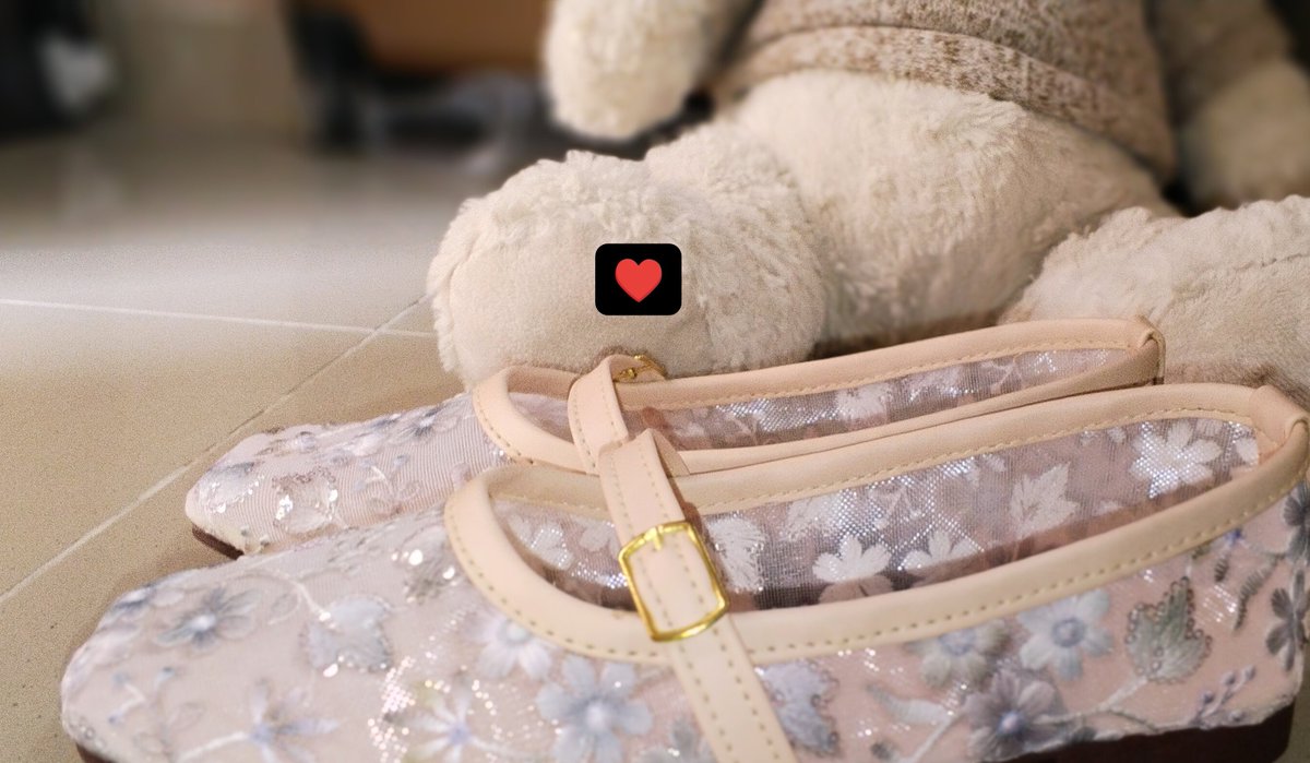 Durygotyou's tweet photo. My girl gifted me these 12 dancing princesses coded shoes 🪩🦢😭💕 https://t.co/BpjdGCvwk3