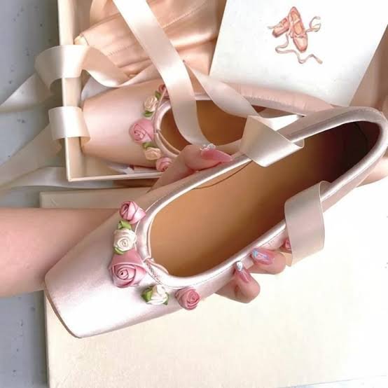 Durygotyou's tweet photo. My girl gifted me these 12 dancing princesses coded shoes 🪩🦢😭💕 https://t.co/BpjdGCvwk3