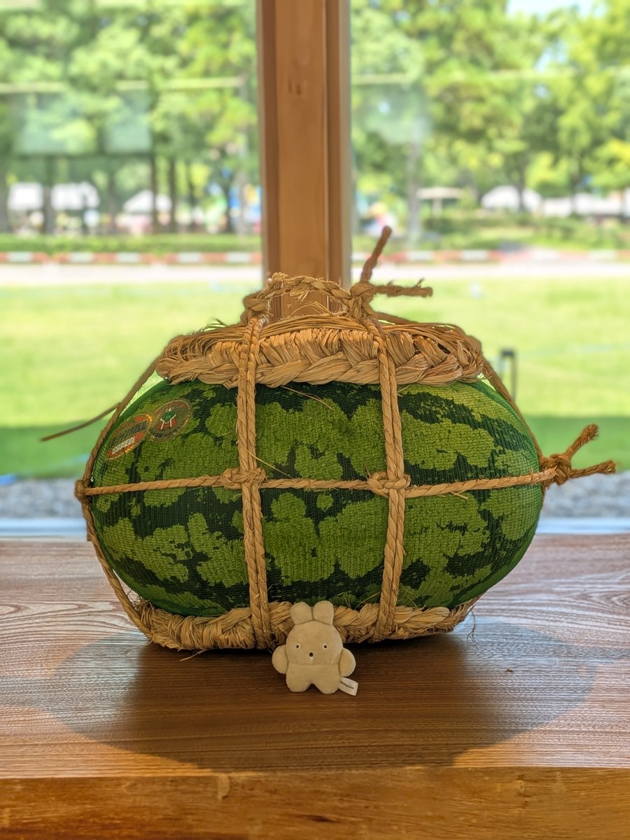 tomiso12's tweet photo. こんにちは‼️
8月に入り、もうじき夏季休暇が始まりますね🎐ちょっとウキウキした気持ちです😊

今年も業者の方より、入善ジャンボスイカをいただきました🍉大きくて甘い😋夏の便りです✨

#富山 #トミソー #入善ジャンボスイカ https://t.co/Qdtg2IPg2q