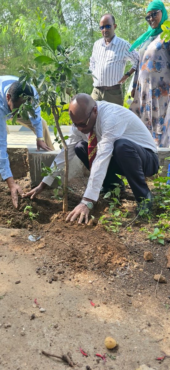 teshomeshunde's tweet photo. በክቡር ጠቅላይ ሚኒስትራችን አነሳሽነት ''ተስፋን እንትከል'' በሚል መሪ ቃል ሐምሌ 27 ቀን 2018 ዓ.ም በመላው አገራችን በሚካሄደው በአንድ ጀንበር 800 ሚሊዮን ችግኞችን የመትከል አረንጓዴ አሻራ መርሃ-ግብር አገራዊ ንቅናቄ በሃርጌሳ የኢፌዲሪ ቆንስላ ጄኔራል ጽ/ቤት ሠራተኞችና የኢትዮጵያ ኮሚኒቲ ተወካዮች በቆንስላ ጽ/ቤቱ ቅጥር ግቢ ችግኞችን በመትከል የታሪክ ተካፋይ ሆነዋል።
🌳 JOINING THE NATIONWIDE GREEN MOVEMENT IN HARGEISA! 🇪🇹🌱
Today, the Ethiopian Consulate General in Hargeisa proudly participated in Ethiopia’s historic national tree planting campaign aimed at planting 800 million seedlings in a single day under the Green Legacy Initiative!
Our Diplomats, Military Attachés, local staff, and esteemed community leaders gathered at the Consulate premises to plant seedlings, reaffirming our collective commitment to climate resilience, environmental restoration, and regional sustainability.
Every seedling planted today represents hope, unity, and a shared commitment to building a greener, more climate-resilient future for generations to come.
Together, we leave a lasting green legacy! 💚✨
#GreenLegacy #EthiopiaGreenLegacy #ClimateAction #Sustainability #DiplomacyInAction #Hargeisa