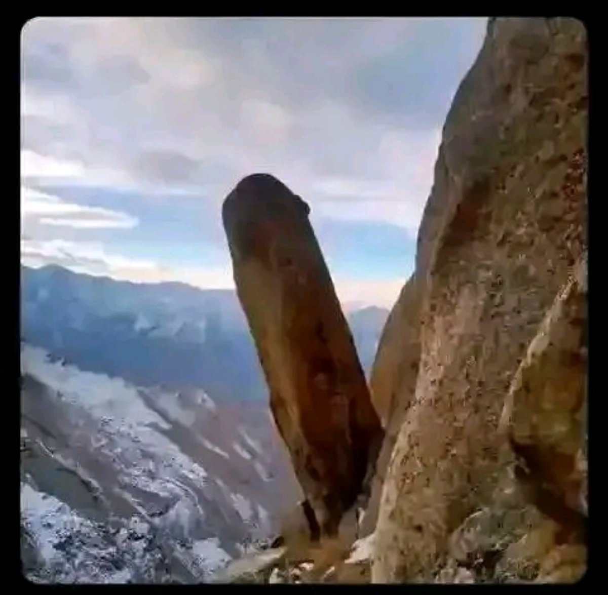 theodore_tbg's tweet photo. Nature is simply natural 😂 https://t.co/998lFG2Wts