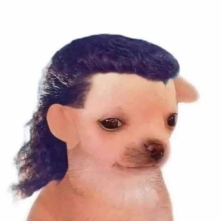 arialamarciana's tweet photo. JKAKAJJAJAJ MI EX SE PARECE A EDTE https://t.co/D4jiF385aw