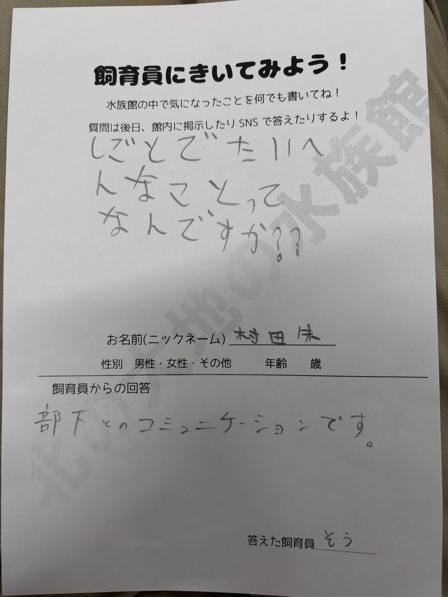山内 創 tweet media