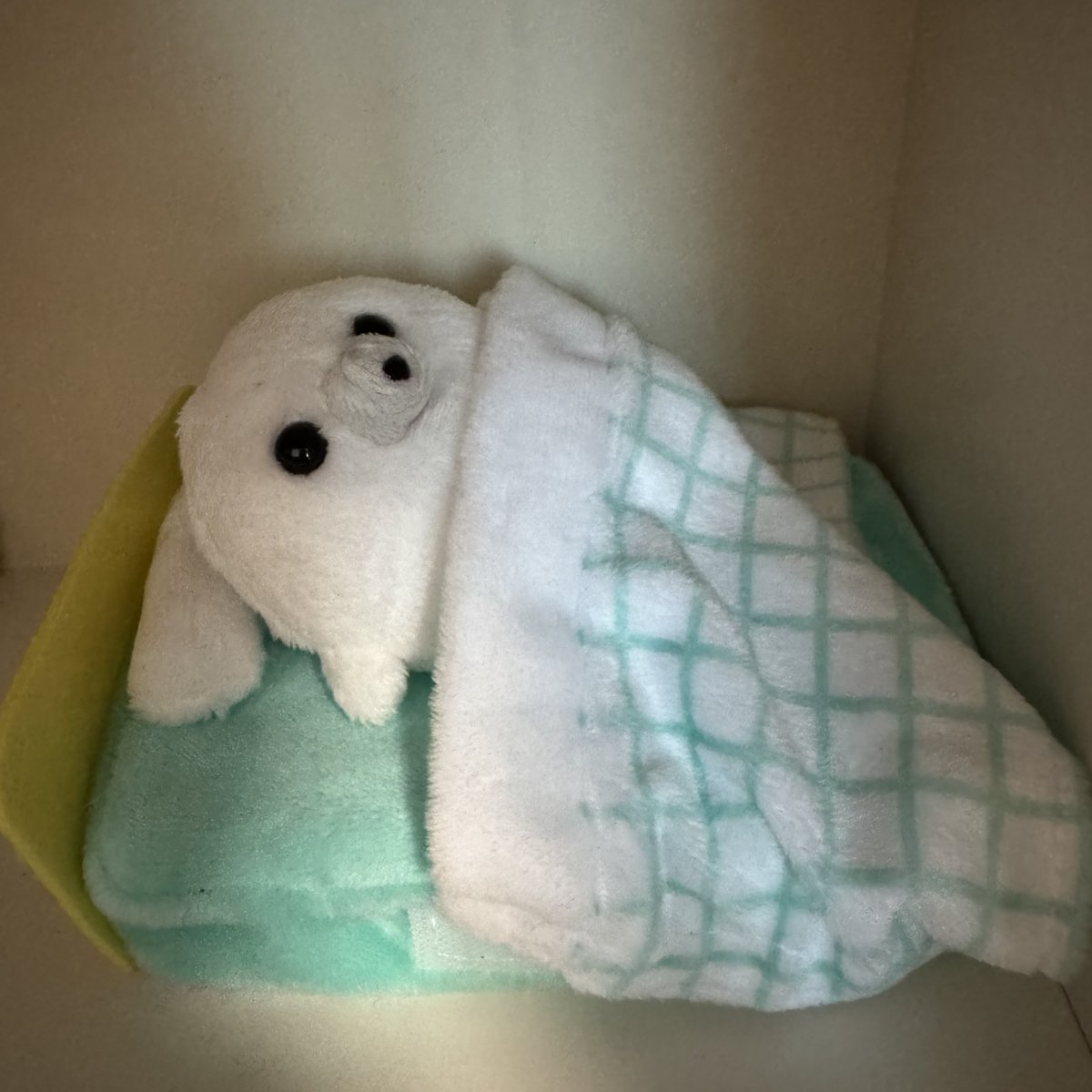 Guggungung's tweet photo. 더우니까     나가지않아 https://t.co/GoAz4zD7YL