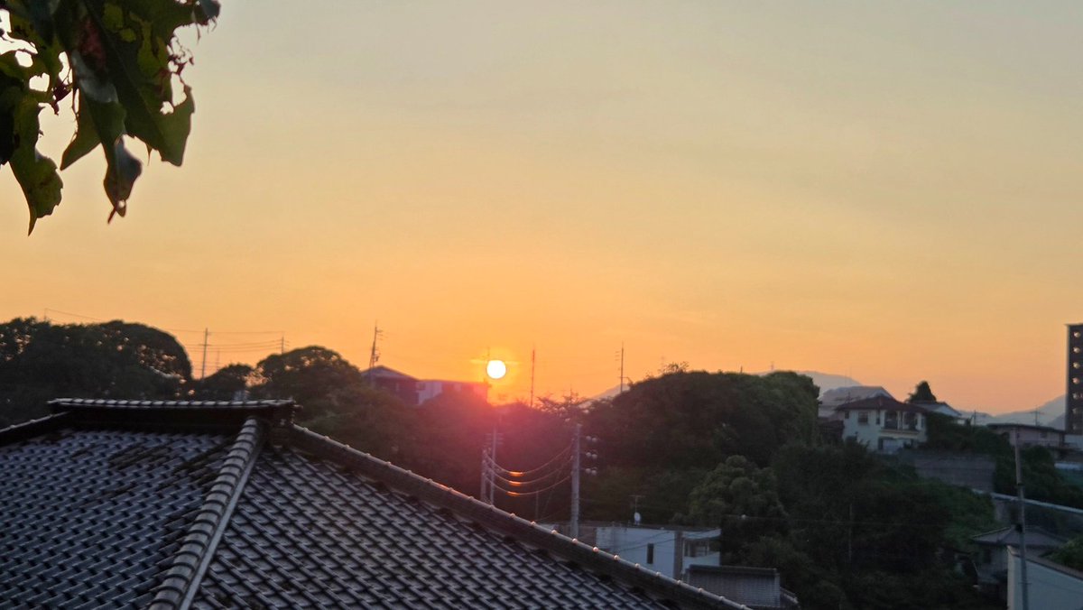 edelweice2's tweet photo. 日の出の頃の朝散歩…気温29℃
#タカサゴユリ（高砂百合）
　今日のルートではたくさん咲いていた https://t.co/VgsIgQKxnJ
