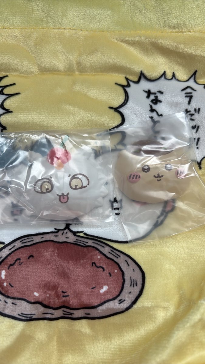 ririri0830_'s tweet photo. 【交換】ちいかわ ホイップマグ ホイップ マグネット

【譲】あのこ　くりまんじゅう

【求】ちいかわ×1 ハチワレ×1

郵送希望📮
お気軽にお声かけください🙇 https://t.co/obmR1XtuSi