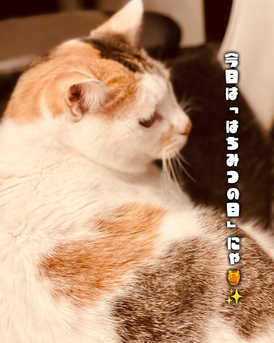 nxtinnovations's tweet photo. 🐾猫社長ゆずマルにゃ🐱
2026年8月3日（月）🌻 #今日は何の日
今日は「はちみつの日」にゃ🍯✨

はちみつは、たくさんのミツバチが力を合わせて集めた大切な贈り物にゃ🐝

お仕事も同じで、一人ひとりの小さな頑張りや工夫が集まることで、大きな成果につながるにゃ💻🐾

新しい一週間の始まり。
焦らず、自分のペースで、一歩ずつ積み重ねていこうにゃ😸🍀

今週も笑顔でがんばるにゃ✨
#今日は何の日 #はちみつの日
#IT豆知識 #チームワーク #業務改善
#猫社長 #ゆずマル
#仕事術 #DX #ビジネス
#ネクストイノベーション #IT企業
