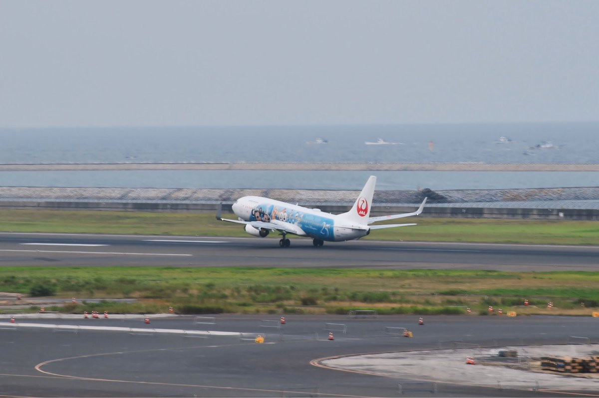 6627nena's tweet photo. 2026/8/3   中部国際空港
JAL202便 羽田空港行きB737-846 JA339J JAL Jubilee Express
 #JAL
 #日本航空
 #JALJubileeExpress 
 #中部国際空港 https://t.co/yfk5yRWdFU