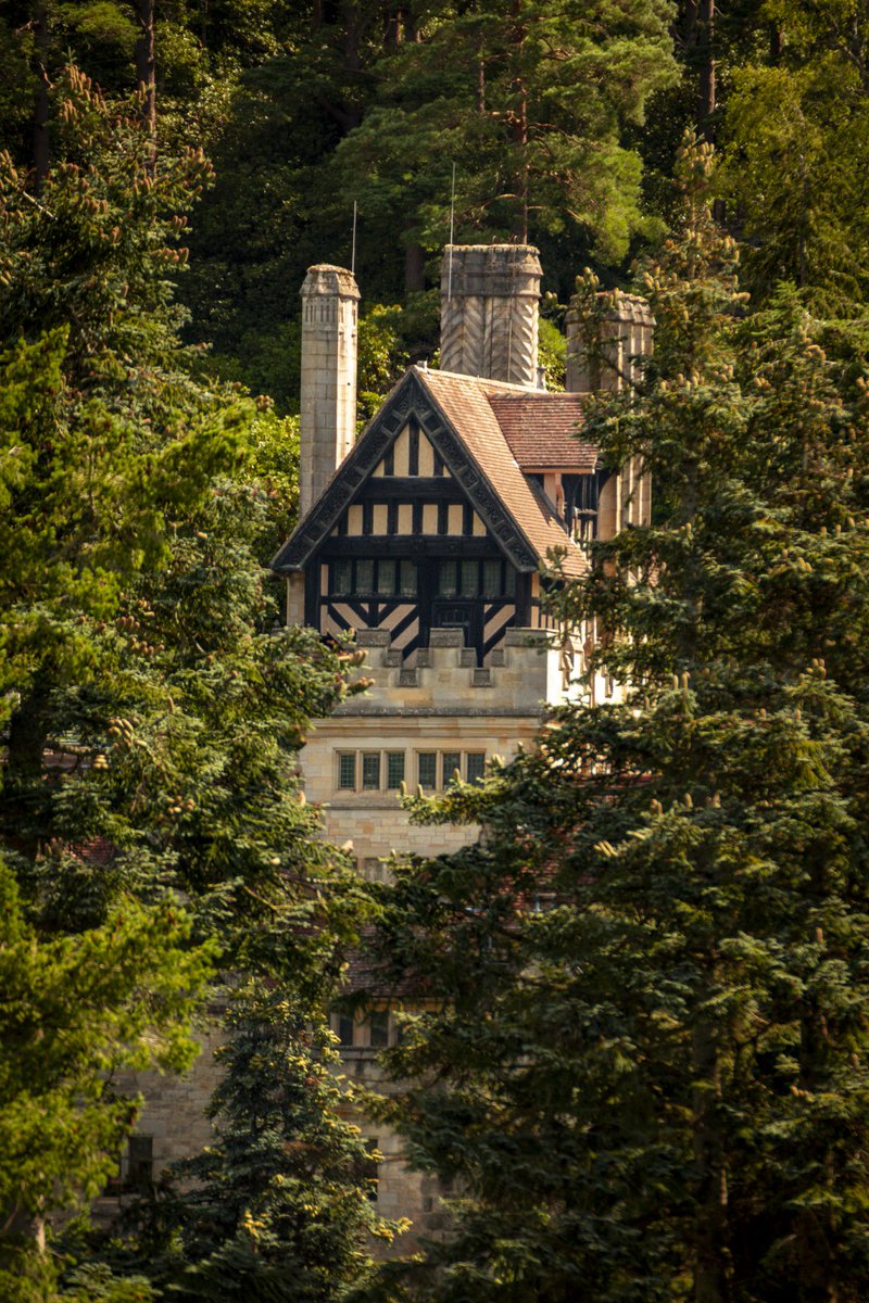 sambncl's tweet photo. Looking for light, layers, and little moments.

Cragside delivered all three. 📷🌿 

#Cragside #Northumberland #NationalTrust #LandscapePhotography #explorebritain 

@nationaltrust https://t.co/svzPMvDiXd