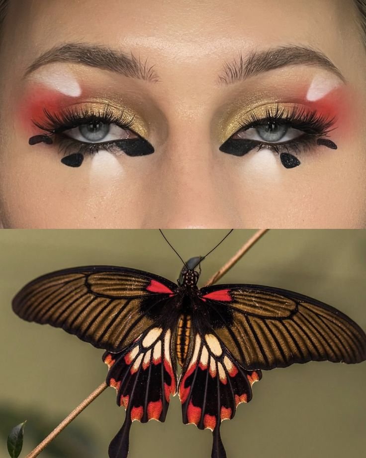 stillwildnature's tweet photo. swallowtail butterfly-inspired eye makeup https://t.co/pmPIY9Ff6C