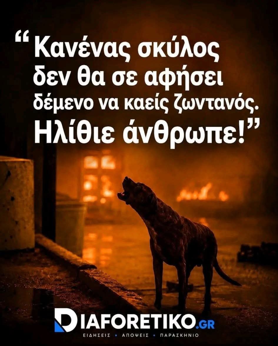 5c4fa9e2418f474's tweet photo. 😢❤😢❤ https://t.co/EprWCZb2qE