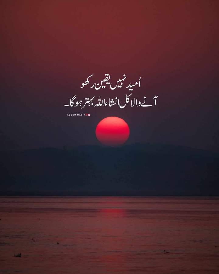 19FKn's tweet photo. دن بخیر 💥 
*"ہر دن آپ کی زندگی کی کتاب کا ایک نیا صفحہ ہے۔* 
یہ آپ پر ہے کہ اس صفحے پر کیا لکھتے ہو  ۔۔۔ غم لکھتے ہو یا شکر۔
مایوسی سے صفحہ سیاہ مت کرو، بلکہ اُمید اور محنت کے رنگ بھر دو۔
 *یہی رنگ آپ کی کہانی کو خوبصورت بنا دیں گے ان شاءاللہ 📖🌿"
#خاتم_النبیین_محمدﷺ 
@1qaisr https://t.co/MqCgcpbysI
