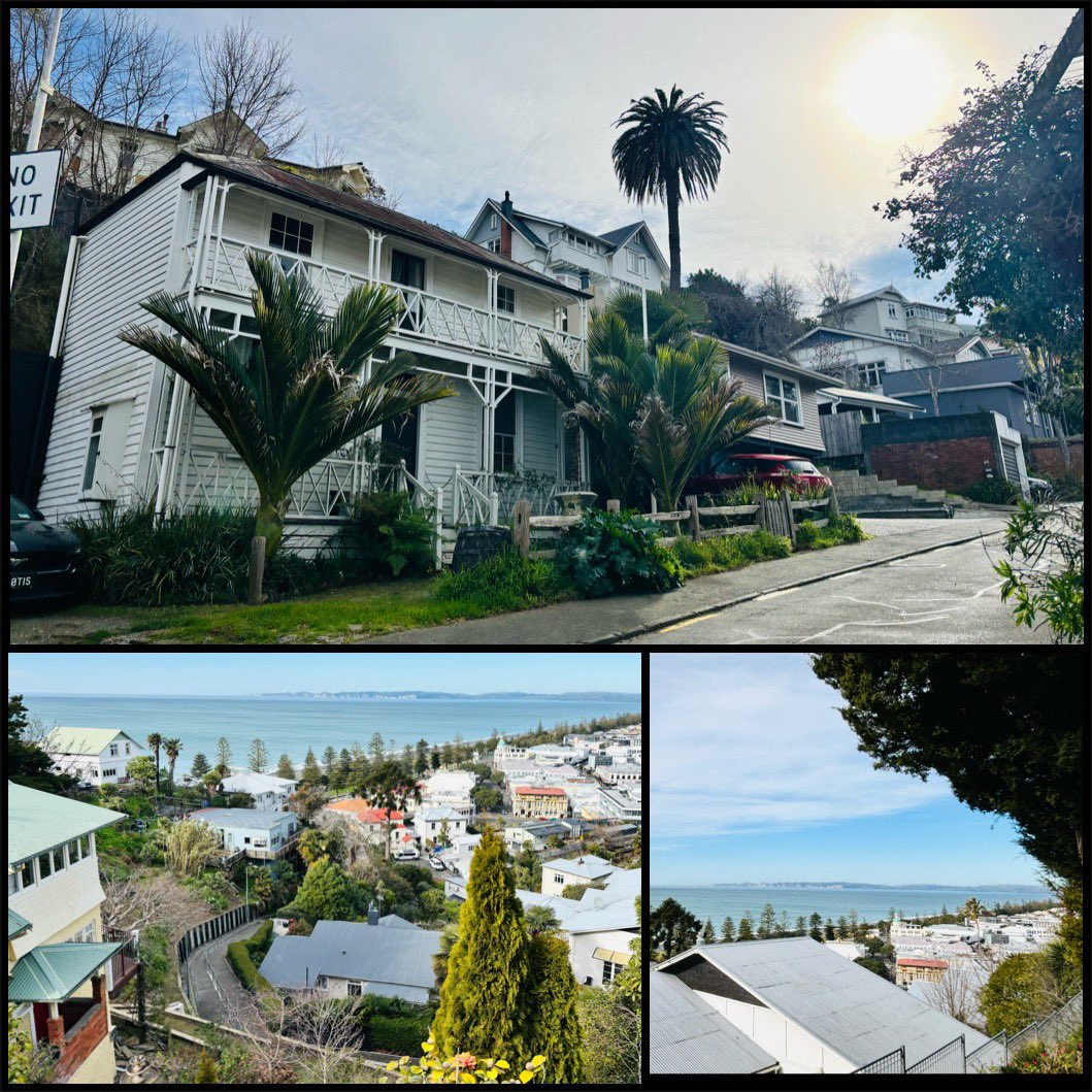 Cara_Farran's tweet photo. Brilliant sunny day in the lovely #ArtDeco of #Napier by the sea. Obsessed with the architecture and the hilly views πππΌββοΈπ³πΏ https://t.co/subuvcTnUe