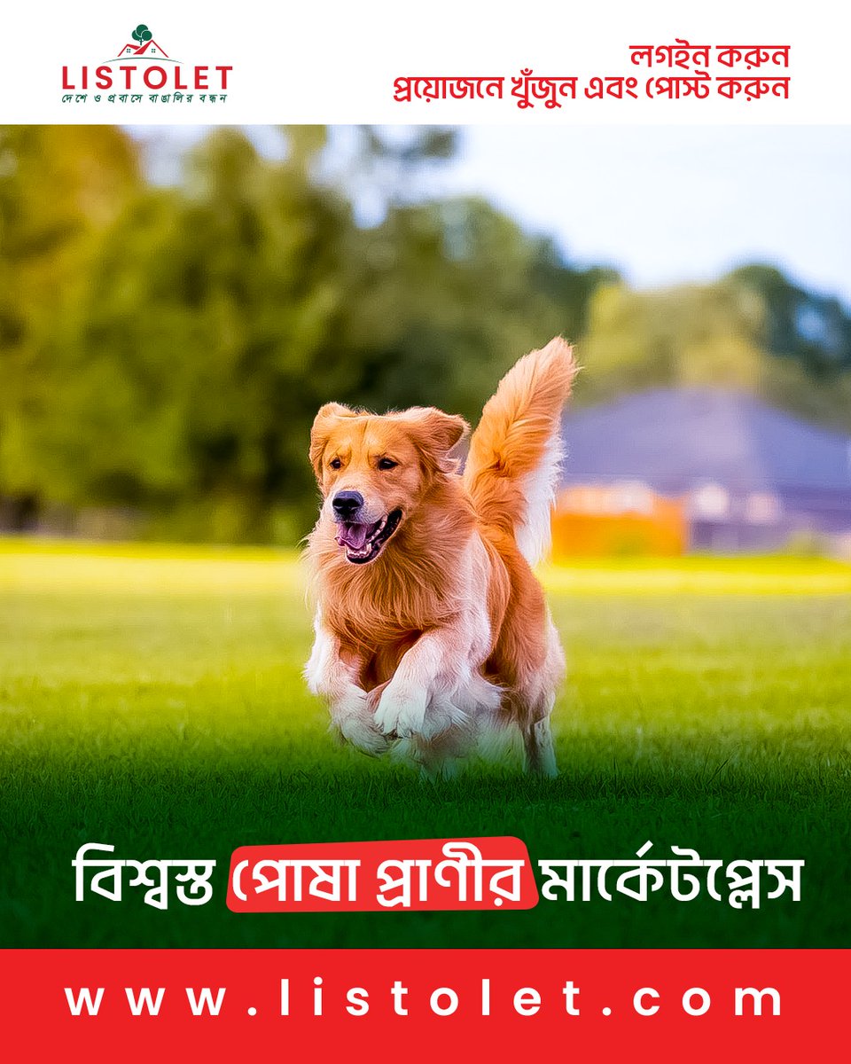 listolet_inc's tweet photo. আপনার প্রিয় পোষা প্রাণীটিকে খুঁজে নিন Listolet-এ! আপনি কি আপনার পরিবারের জন্য একজন নতুন আদুরে সদস্য খুঁজছেন?  Listolet-এর "Pets &amp; Animal" ক্যাটাগরিতে এখন পোষা প্রাণী সংগ্রহ বা দত্তক নেওয়া এবং কেনাবেচা করা যাবে একদম সহজে। 📌 বিস্তারিত জানতে ভিজিট করুন: #Listolet #PetsAndAnimals https://t.co/KMsTxxKmjs